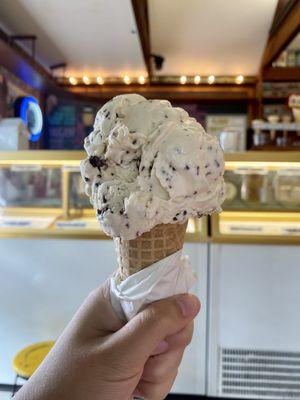 Toasted coconut ice cream with some chocolate bits? Yum!