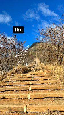 It's 1048 steps some of them are distant of each other some also higher steps at the endend