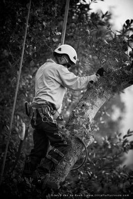 Jerry van de Beek in Mill Valley, CA. What a cool day job!