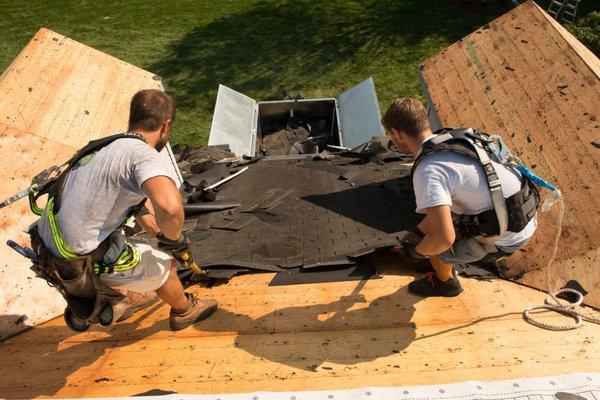 NEST roofs - Crew