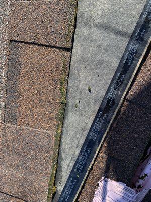 Omega installed wet shingles. So wet even moss grew on it!