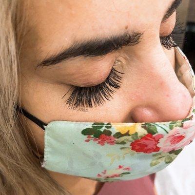 4D Volume lashes