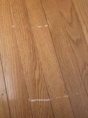 Damage to my wooden floors no floor protection.