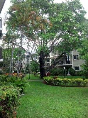 Center courtyard