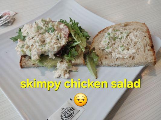 Tons of slimy lettuce 2tbs of chicken salad