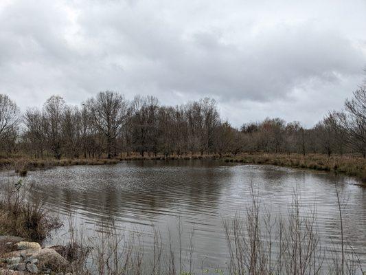 Marsh Park, Pineville