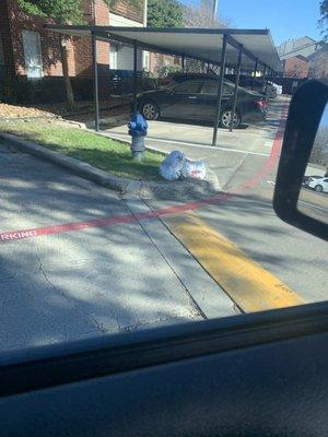 Trash near the fire hydrant