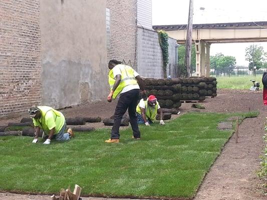 Renovated this vacant lot into a residential yard for our customer