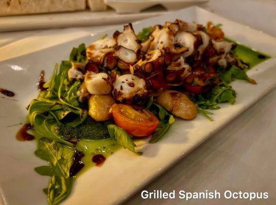 Grilled Spanish Octopus $16 ~ I highly recommend ~