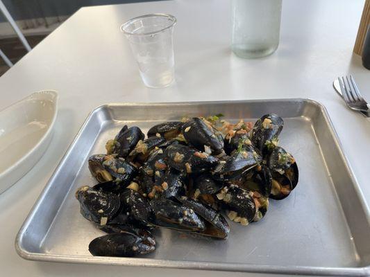 Mussels