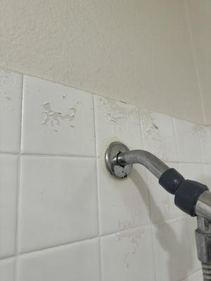 Peeling paint in the shower