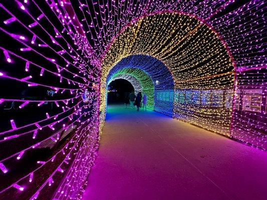 OKC ZOO SAFARI LIGHTS December 2022