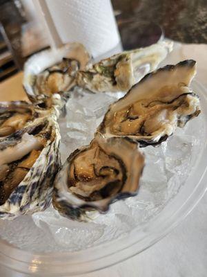 Happy hour oysters