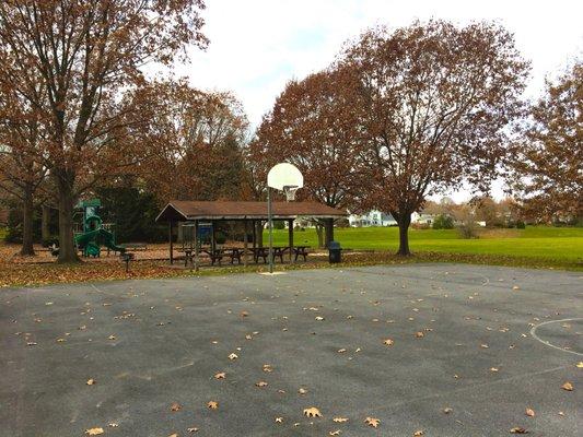 Basketball Court and Picnic Tables