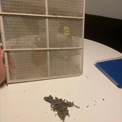 This how much dirt is on one filter!‍ and this is a nonsmoking room!