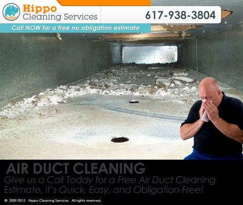 Hippo Cleaning Services