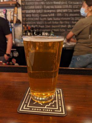 Pliny the elder