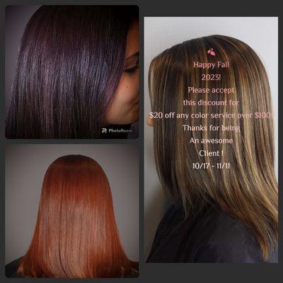 Happy Fall 2023!! $20 off any color service over $100  10/17 through 11/11! Thank you for being awesome clients!