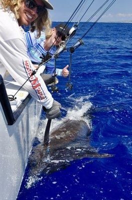 650# Pacific Blue Marlin caught on February 12, 2018