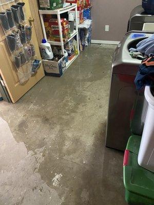 Water all over the laundry room