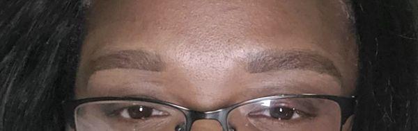 Before Microblading - Wax Only