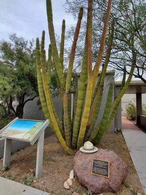 Memorial for fallen Park Ranger