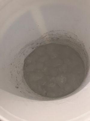 Dirty ice from a nasty ice machine