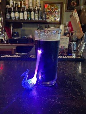 Chocolate Stout and LED peacox