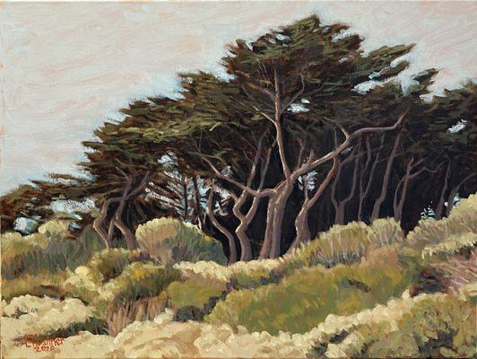 Oil Painting of Monterey Cypress Trees San Francisco by Lawrence Kushner available at Avenue 12 Gallery San Francisco