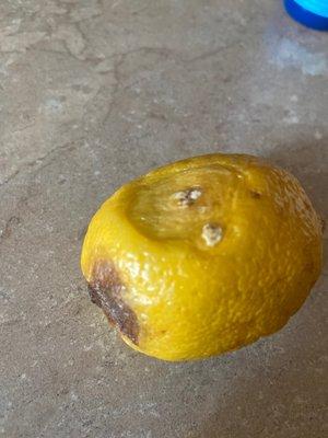 Moldy lemon.