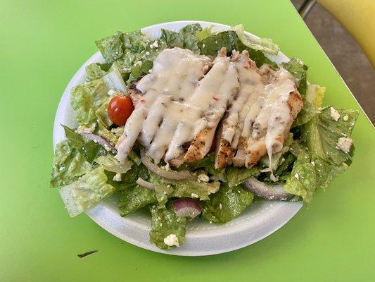 Grilled chicken salad