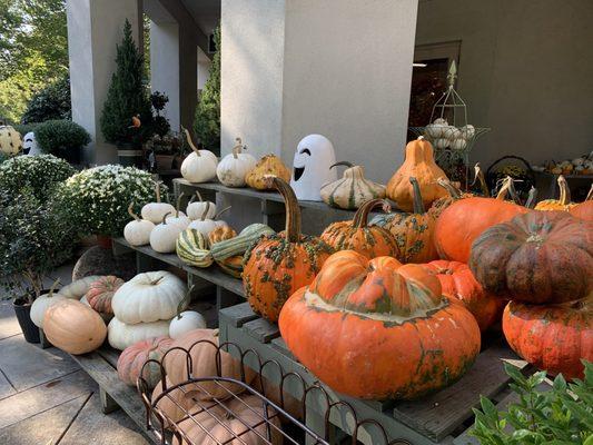 Fall at the Gardens - many pumpkin offerings