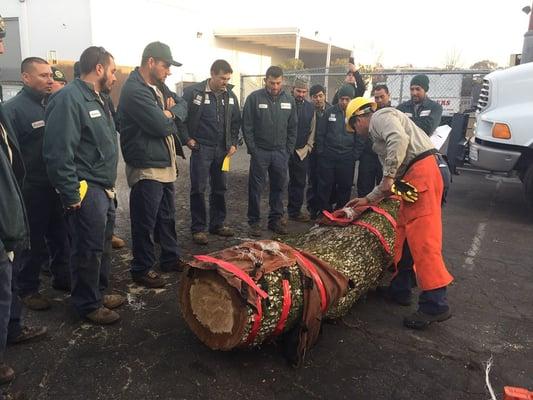 Bert and crew examining the Kevlar filled chaps. The crew feels even safer when wearing their protective PPE after the visual demonstration.