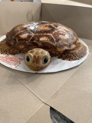 Amazing Sea Turtle birthday cake for my granddaughter!!