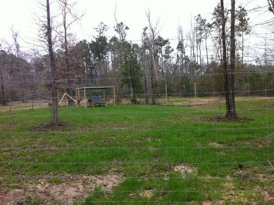 Deer pen outside