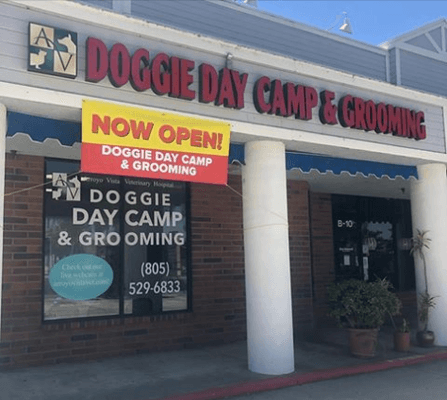 Come see our newest addition! Doggie Day Camp and expended Grooming salon!