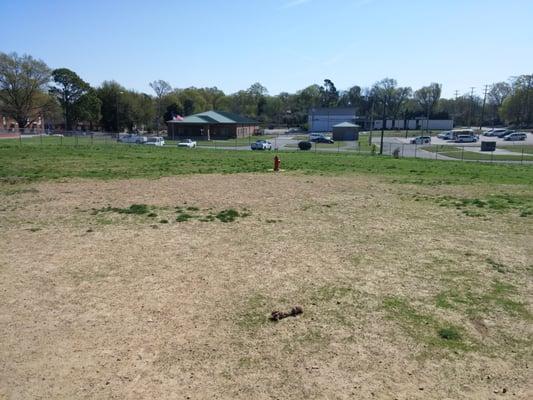 City of Memphis Dog Park