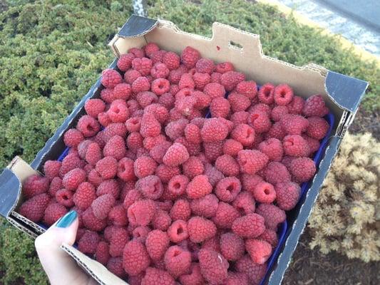 I recommend the raspberries...all of them.