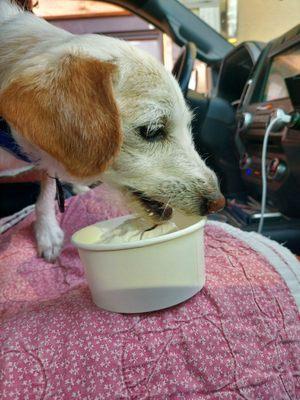 They have pup cups with bone treats too!