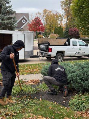 Fall Cleanup