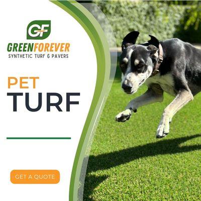 Green Forever Turf Installation Contractor & Discount Supply Store