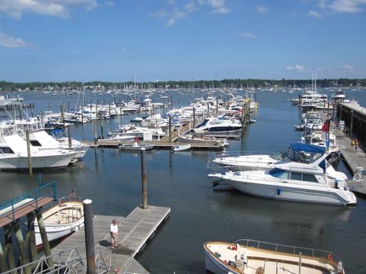 July at Brewer Hawthorne Cove Marina