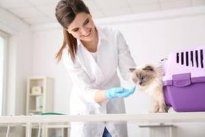 Emergency Pet Hospital Of Collier County