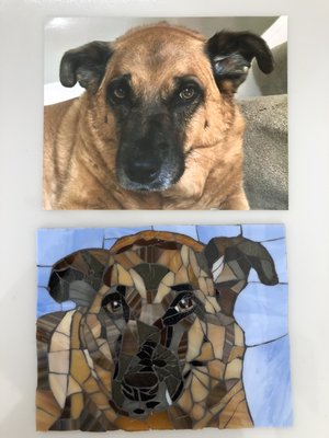 Custom mosaic pet portrait; stained glass on glass