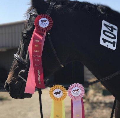 It was a fun day at our home schooling show!