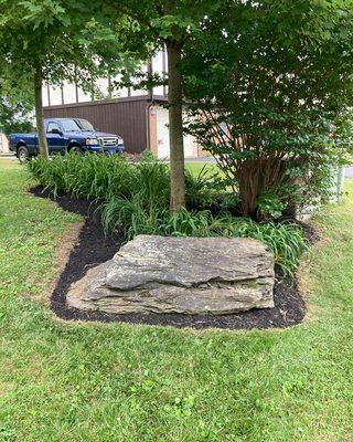 Natural edges &mulch