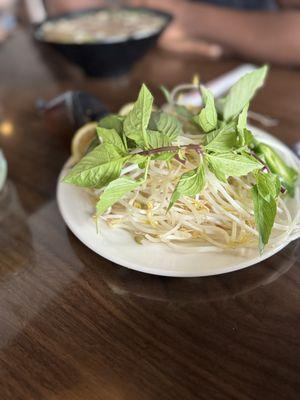 Soup fixin (bean sprouts, basil leaf, jalapeño)