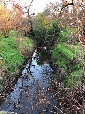 Creekside Nature Area