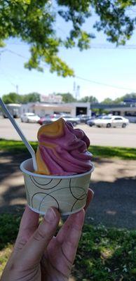 Dole Whip Swirl