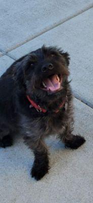 This is a face of a happy boi - taken by Helen and John